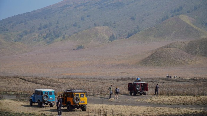 Wisata Bromo Ditutup Total Akibat Kebakaran