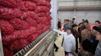 Ekspor Bawang Merah Brebes Tembus Pasar Thailand