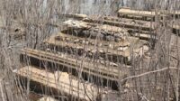 Makam Kuno Muncul di Waduk Wonogiri Saat Kemarau