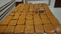 Polda Metro Sita 62,5 Kg Ganja di Jakbar