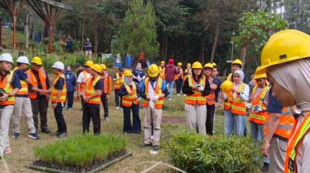 Perhutani Siapkan 20 Juta Bibit, Reboisasi 26.000 Hektare Dimulai