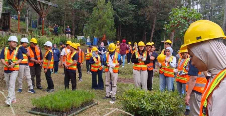 Perhutani Siapkan 20 Juta Bibit, Reboisasi 26.000 Hektare Dimulai