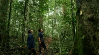 Hutan Harus Beri Nilai Ekonomi Nyata bagi Warga