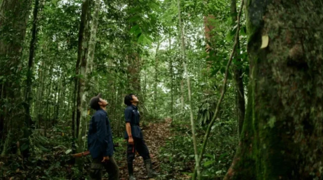 Hutan Harus Beri Nilai Ekonomi Nyata bagi Warga