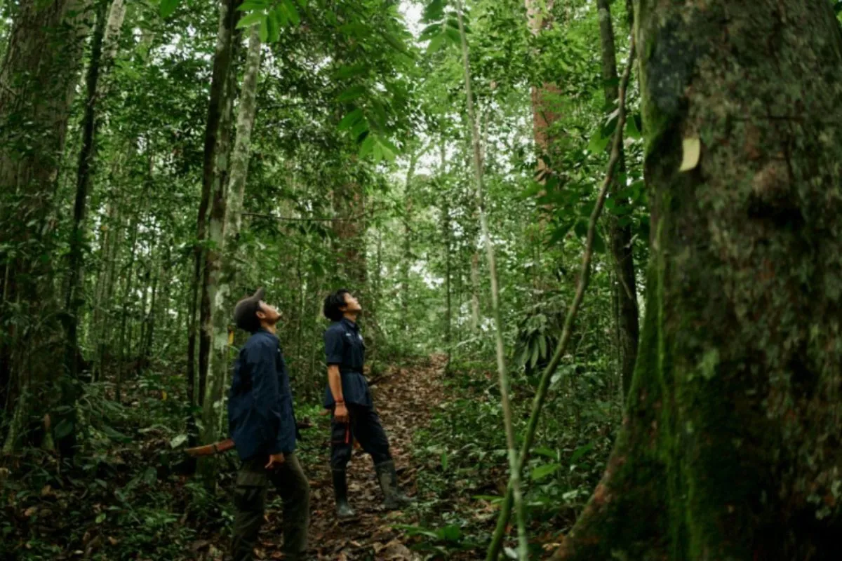 Hutan Harus Beri Nilai Ekonomi Nyata bagi Warga
