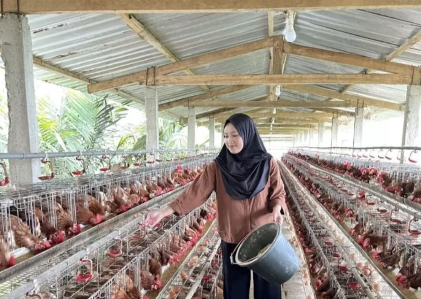 Pasok Bahan Makan Bergizi Gratis, Pemerintah Matangkan Formulasi Pelibatan UMKM