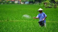 Pupuk Indonesia Kejar Target Emisi Turun 96 Persen, Pasokan Tetap Prioritas