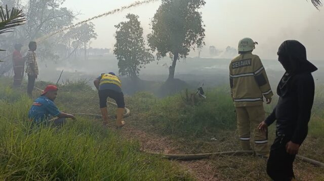 Karhutla Masih Membara, BNPB Tangani 639 Hektare di Enam Provinsi