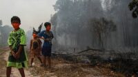 Kabut Asap: Menuntut Tanggung Jawab, Bukan Sekadar Maaf