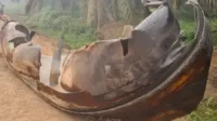 BRIN Telusuri Asal Benda Logam Misterius di Kebun Sawit Sampit