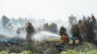 Karhutla Meluas, Legislator PKB Peringatkan Ancaman El Nino Desember