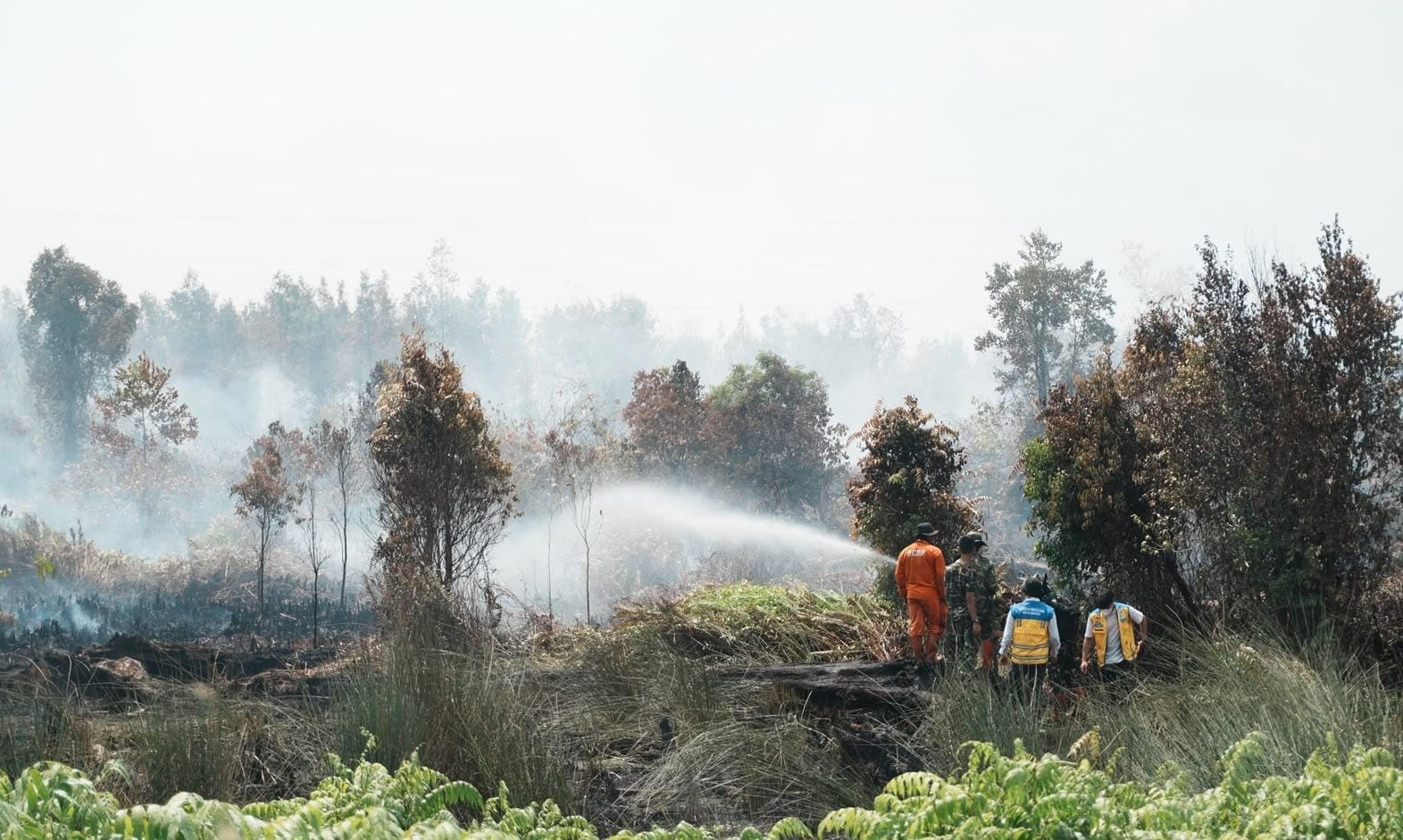 Karhutla Meluas, Legislator PKB Peringatkan Ancaman El Nino Desember