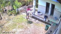 Terekam CCTV, Pria di Pati Mengaku Curi Puluhan Celana Dalam dan BH buat Jimat Pelet