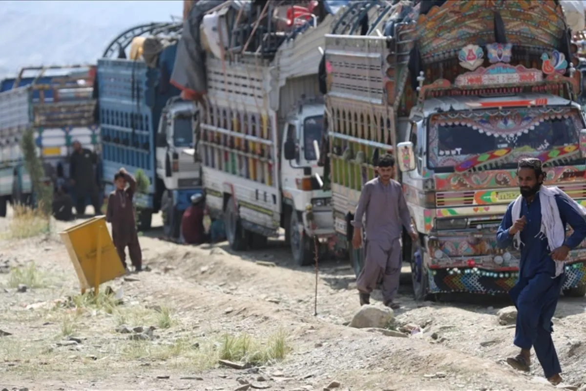 PBB Peringatkan Krisis Pangan Afghanistan, 19,2 Juta Orang Terancam